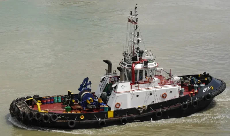 APEX General Cargo IMO 9246231 photo 3