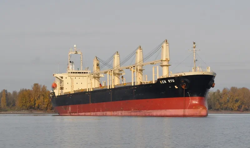 KEN RYU Bulk Carrier IMO 9246293 photo 9