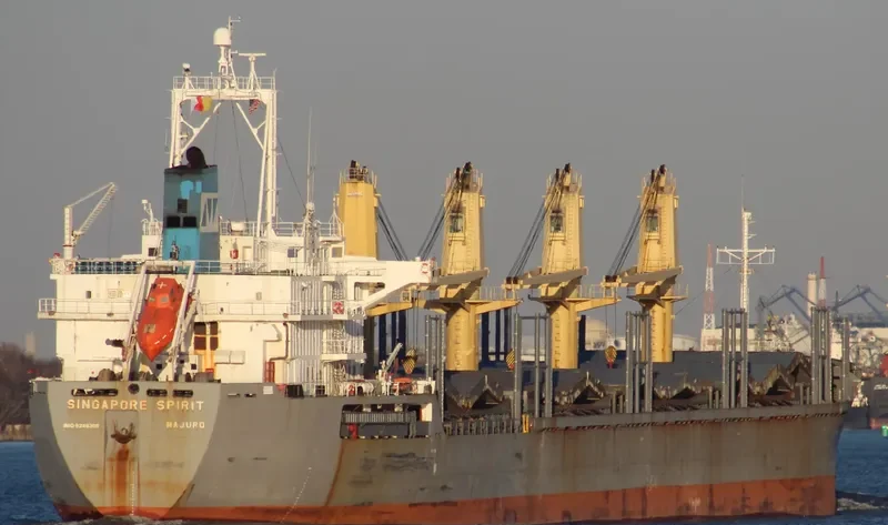 SINGAPORE SPIRIT Bulk Carrier IMO 9246308 photo 2