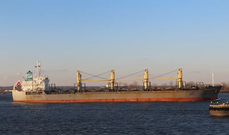 SINGAPORE SPIRIT Bulk Carrier IMO 9246308 photo 4