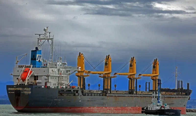 SINGAPORE SPIRIT Bulk Carrier IMO 9246308 photo 7