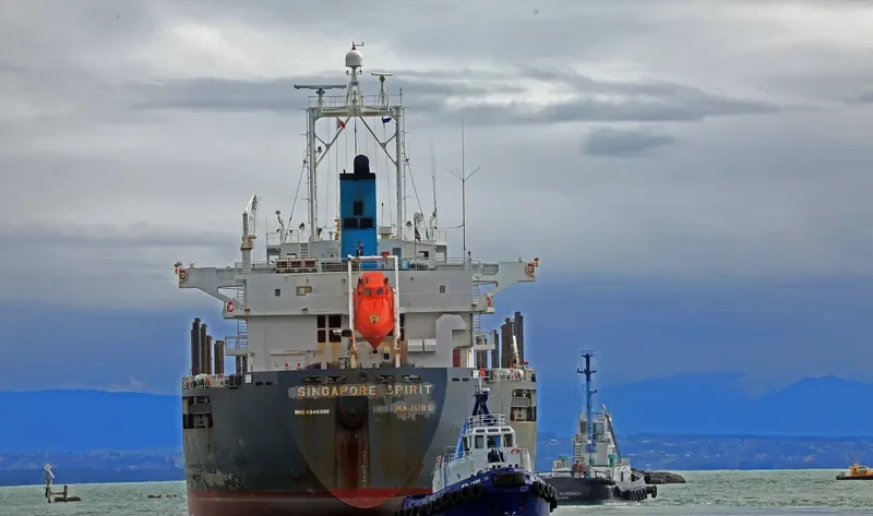 SINGAPORE SPIRIT Bulk Carrier IMO 9246308 photo 9