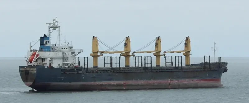 SINGAPORE SPIRIT Bulk Carrier IMO 9246308 photo 10