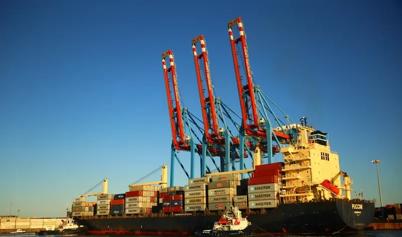 SL TWEETY Container Ship IMO 9246322
