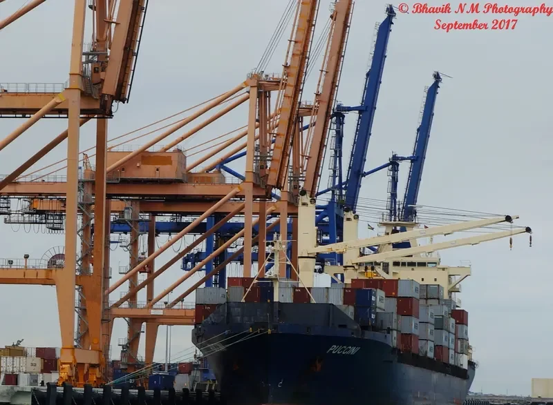 SL TWEETY Container Ship IMO 9246322 photo 6