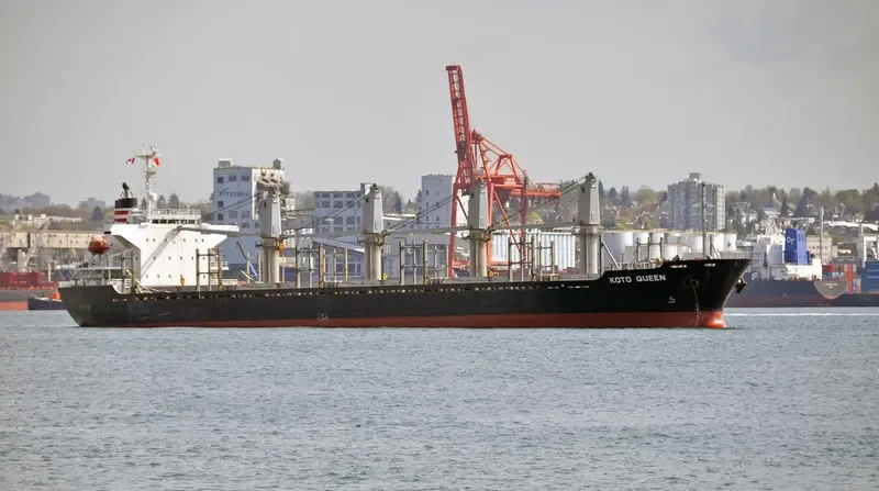 JING SHUN Bulk Carrier IMO 9246841