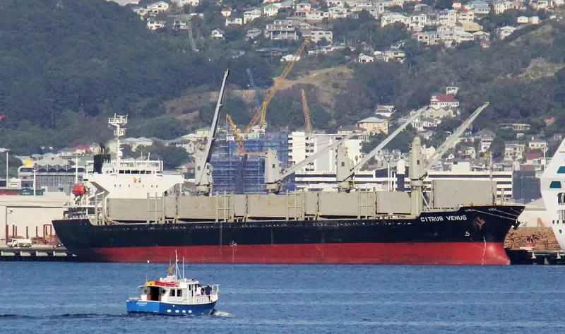 JING SHUN Bulk Carrier IMO 9246841 photo 4