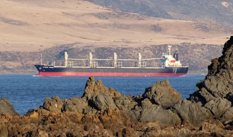 JING SHUN Bulk Carrier IMO 9246841 photo 5