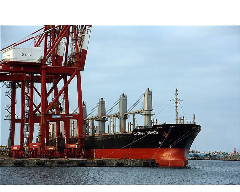 JING SHUN Bulk Carrier IMO 9246841 photo 8