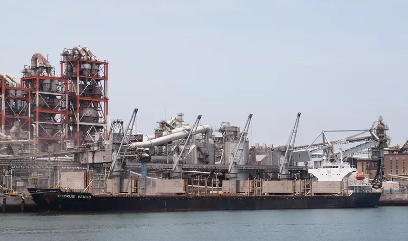 JING SHUN Bulk Carrier IMO 9246841 photo 10