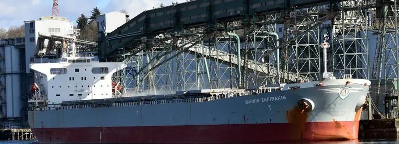 ATHINA III Bulk Carrier IMO 9247285 photo 10