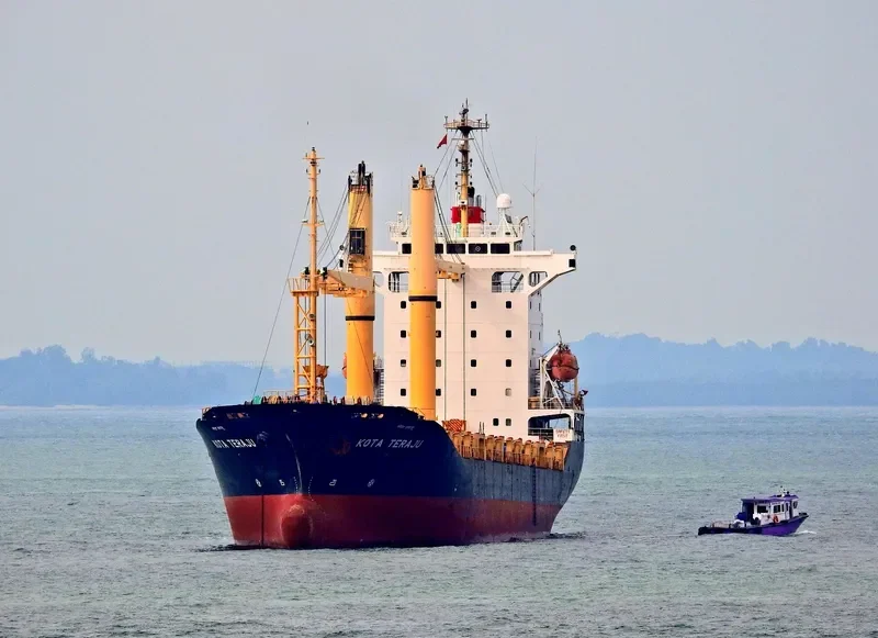 SUNNY DAHLIA Container Ship IMO 9247297