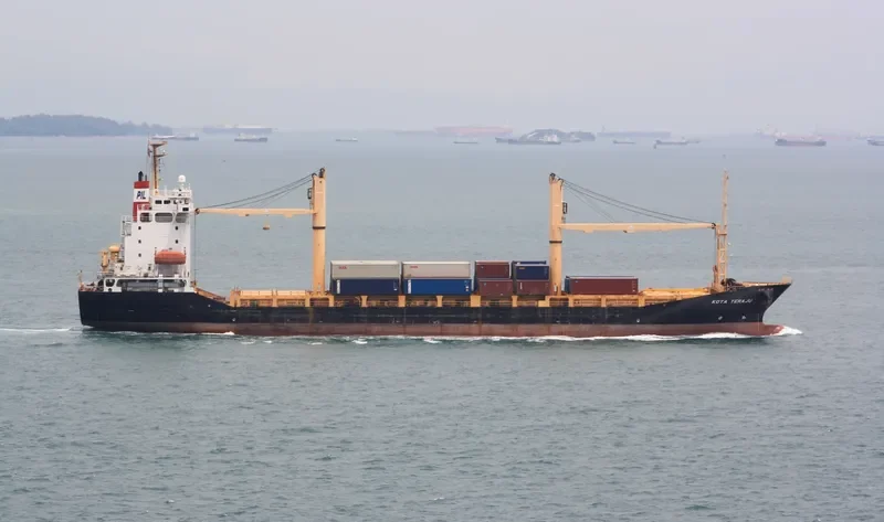 SUNNY DAHLIA Container Ship IMO 9247297 photo 2