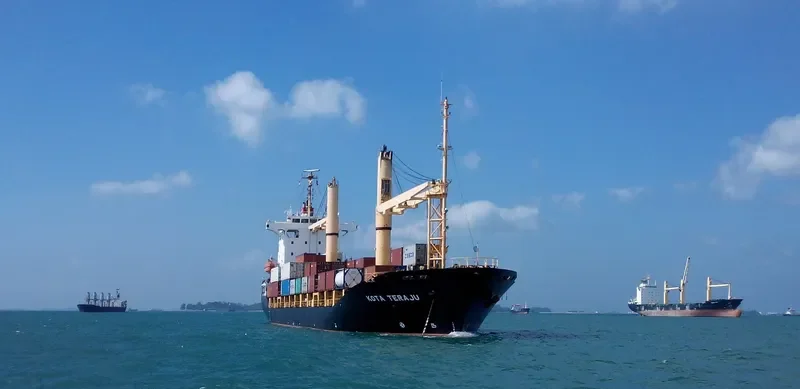 SUNNY DAHLIA Container Ship IMO 9247297 photo 3