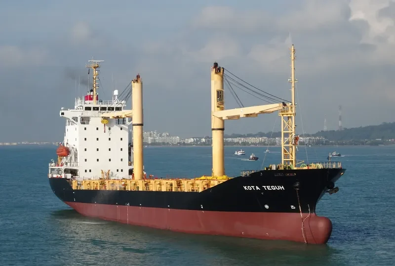 DONGJIN FIDES Container Ship IMO 9247302