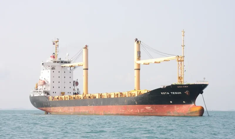 DONGJIN FIDES Container Ship IMO 9247302 photo 2