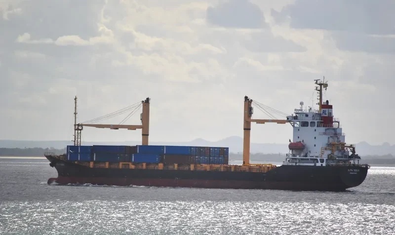 DONGJIN FIDES Container Ship IMO 9247302 photo 4