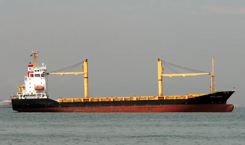 DONGJIN FIDES Container Ship IMO 9247302 photo 5