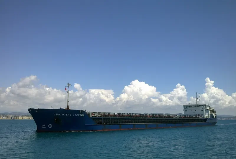 SVYATITEL ALEKSIY General Cargo IMO 9247625 photo 10