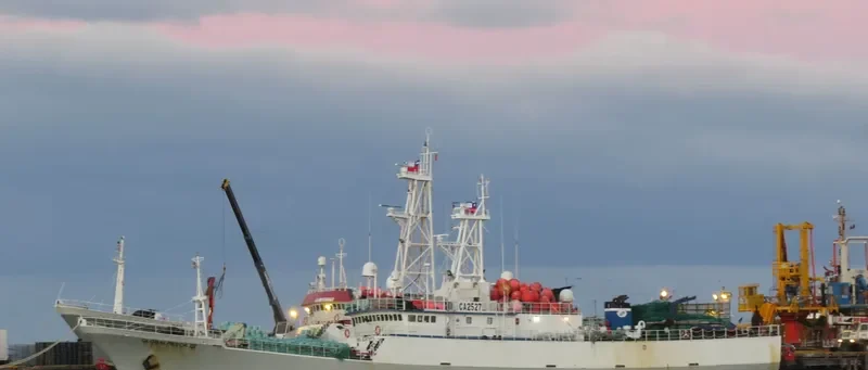 GLOBALPESCA III General Cargo IMO 9247900 photo 3