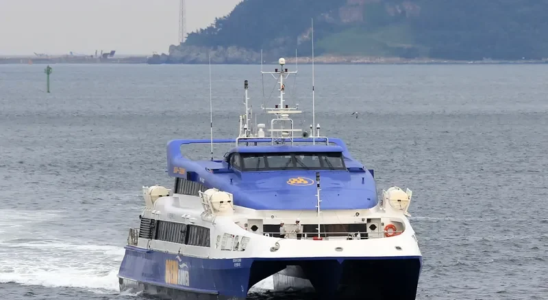 OCEAN FLOWER Passenger Ship IMO 9248007