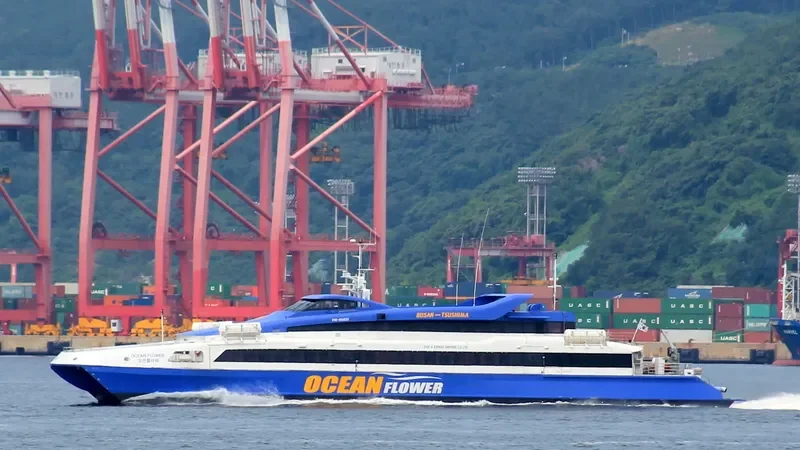 OCEAN FLOWER Passenger Ship IMO 9248007 photo 4