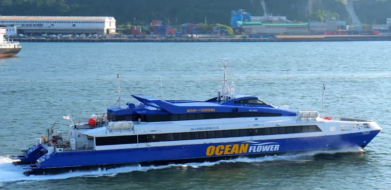 OCEAN FLOWER Passenger Ship IMO 9248007 photo 10