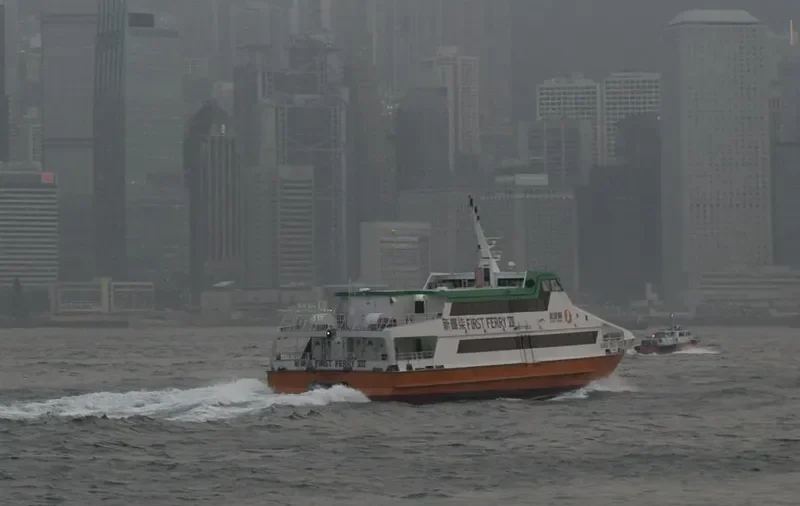 FIRST FERRY VII General Cargo IMO 9248071 photo 8