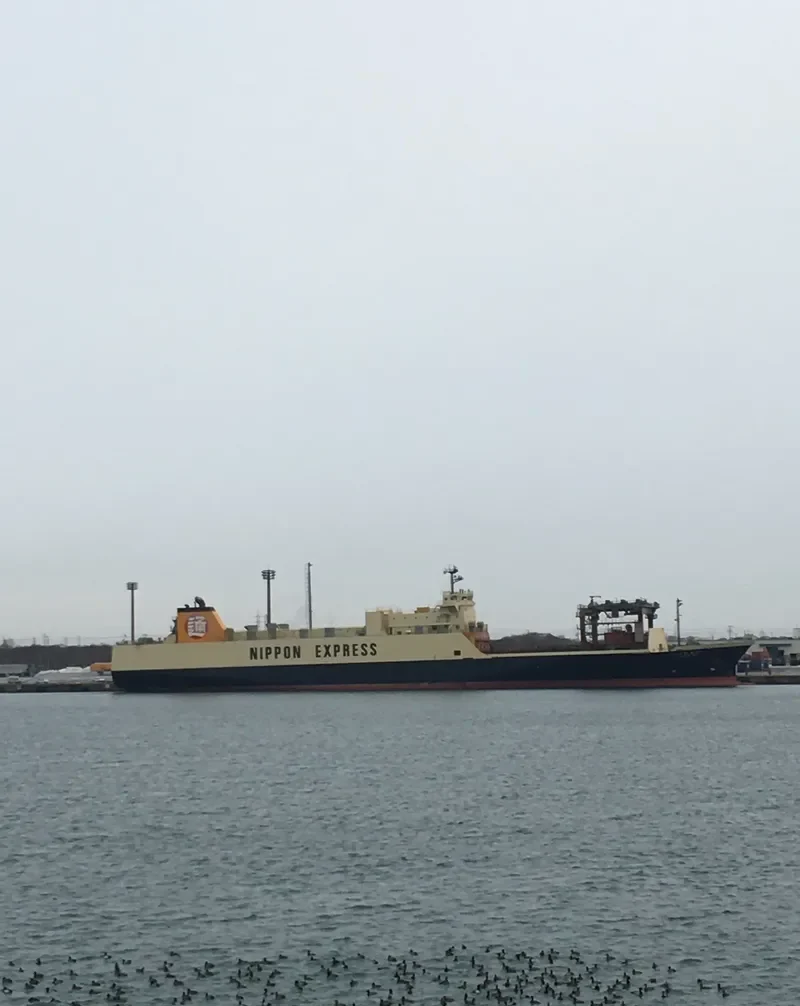 PANSTAR GENIE Ro-Ro IMO 9248227 photo 3