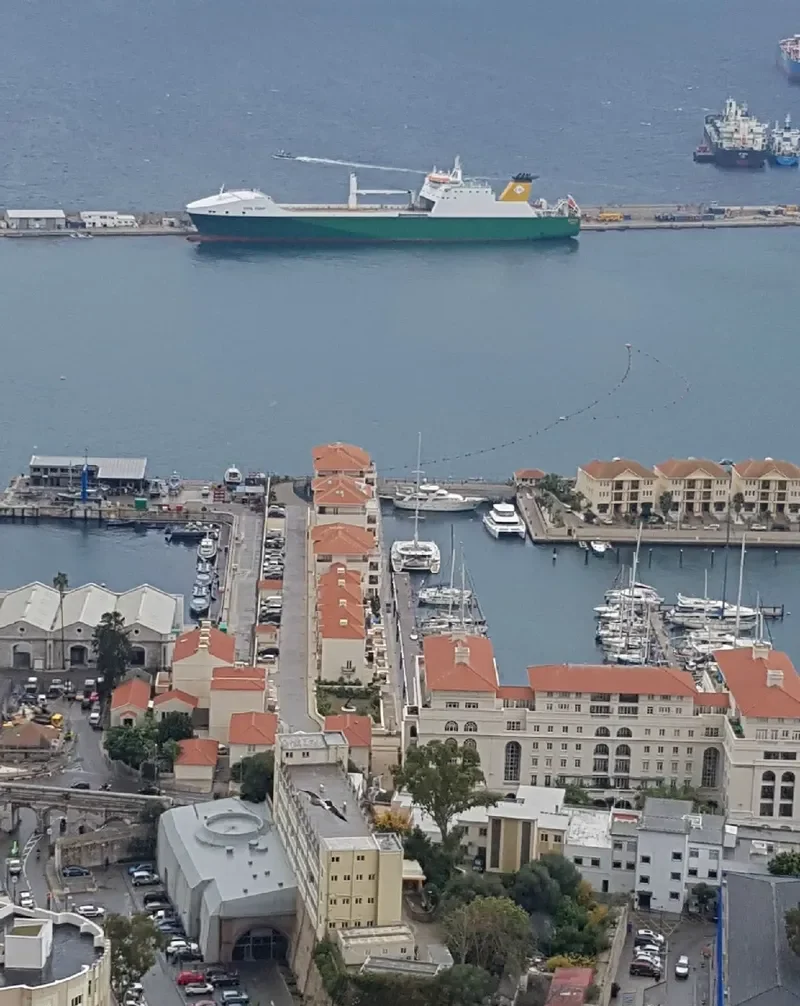 ANVIL POINT Ro-Ro IMO 9248540 photo 3