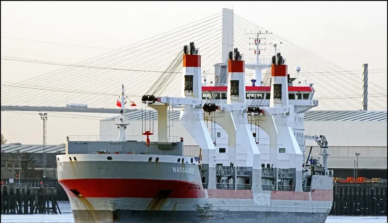 NASSAUBORG General Cargo IMO 9248564 photo 8