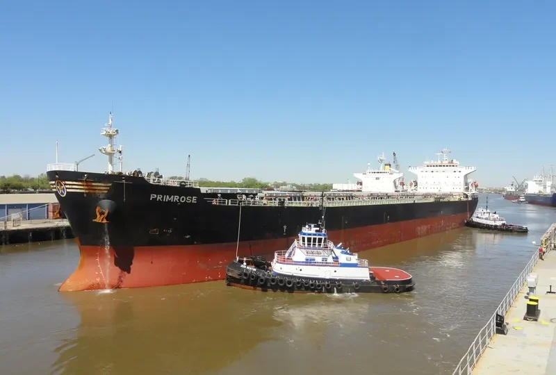 PRIMROSE Bulk Carrier IMO 9248899
