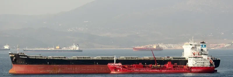 PRIMROSE Bulk Carrier IMO 9248899 photo 2