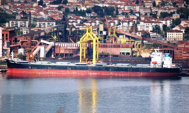 PRIMROSE Bulk Carrier IMO 9248899 photo 4