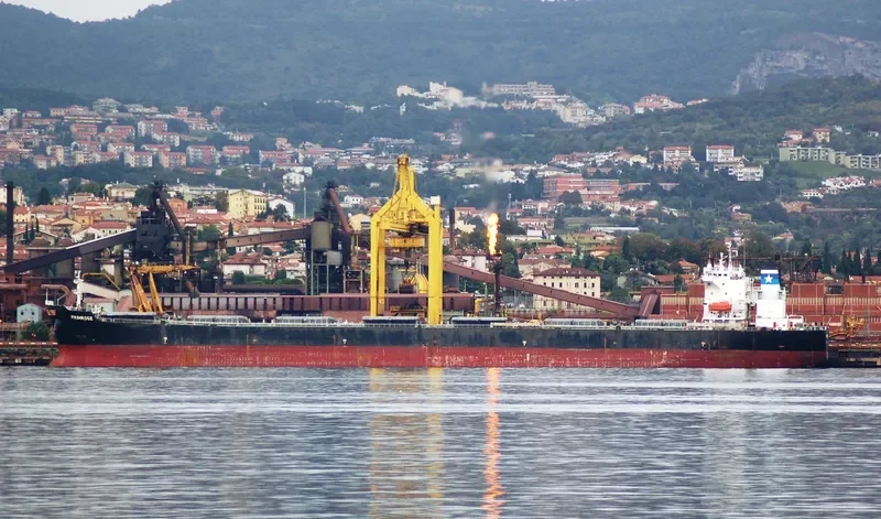 PRIMROSE Bulk Carrier IMO 9248899 photo 5