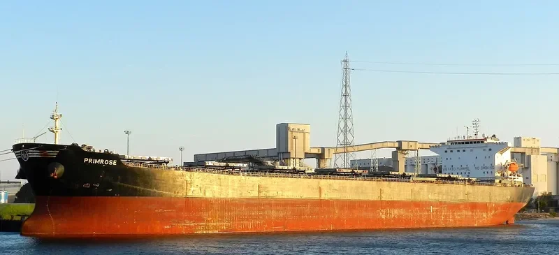 PRIMROSE Bulk Carrier IMO 9248899 photo 8
