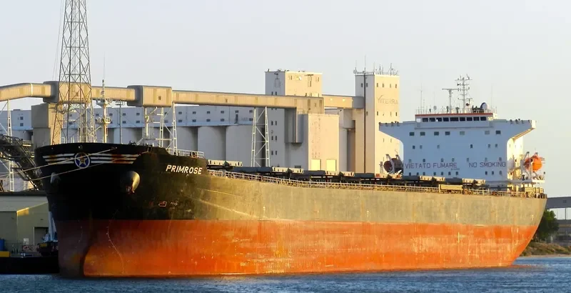 PRIMROSE Bulk Carrier IMO 9248899 photo 9