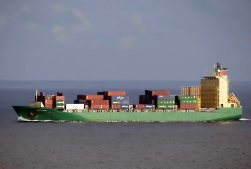 DANUM 175 Container Ship IMO 9248930 photo 9