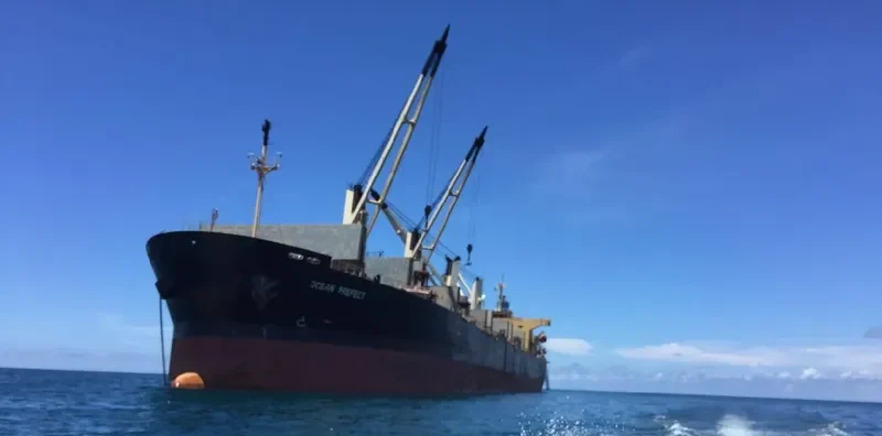 ZHE NENG 2 Bulk Carrier IMO 9249257 photo 4