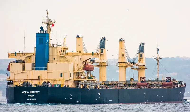 ZHE NENG 2 Bulk Carrier IMO 9249257 photo 7
