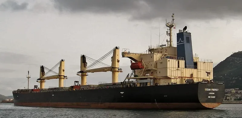 ZHE NENG 2 Bulk Carrier IMO 9249257 photo 8