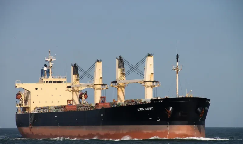 ZHE NENG 2 Bulk Carrier IMO 9249257 photo 10