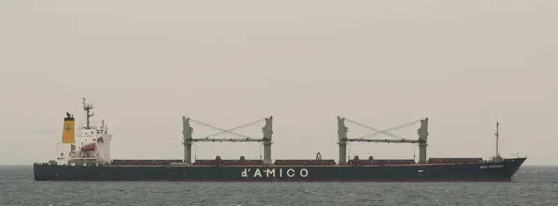 NOTA A Bulk Carrier IMO 9249271 photo 4