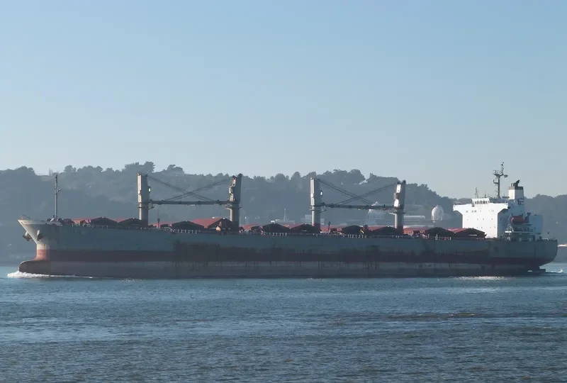 RUI FU SHENG Bulk Carrier IMO 9249283