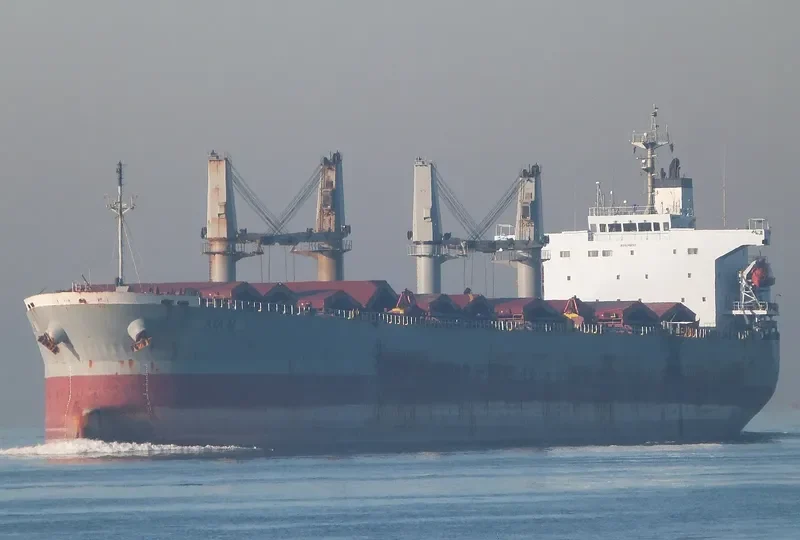 RUI FU SHENG Bulk Carrier IMO 9249283 photo 2