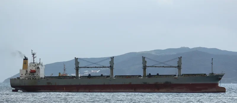 RUI FU SHENG Bulk Carrier IMO 9249283 photo 7