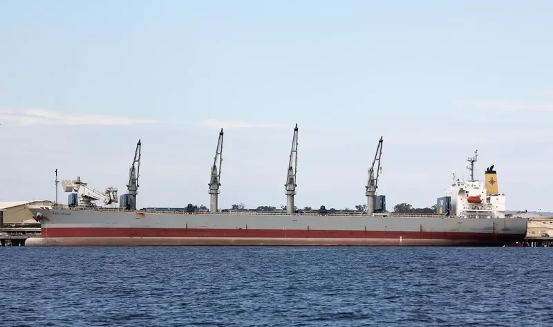 RUI FU SHENG Bulk Carrier IMO 9249283 photo 9