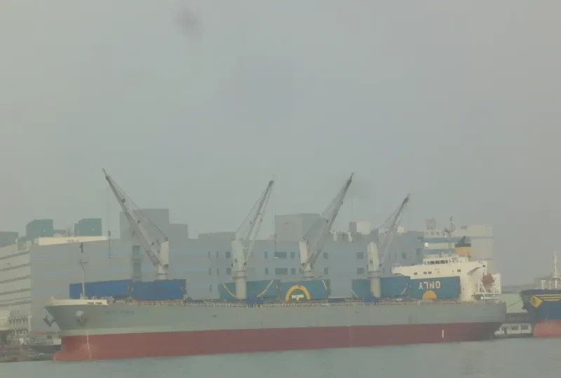 RUI FU SHENG Bulk Carrier IMO 9249283 photo 10