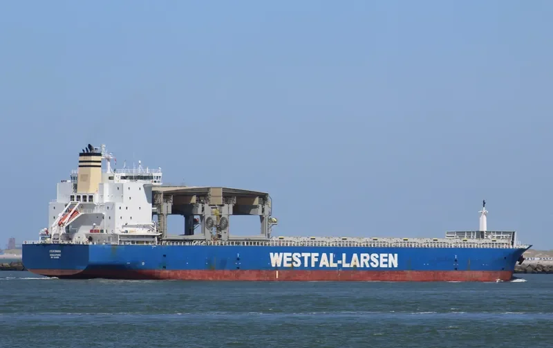 OSHIMANA Container Ship IMO 9249295 photo 5