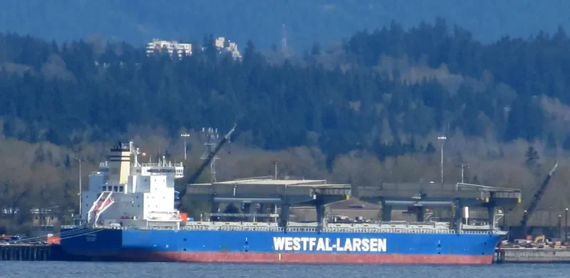OSHIMANA Container Ship IMO 9249295 photo 6